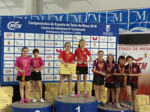Girbau Vic TT, bronze equips alevins